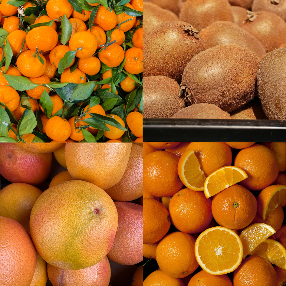 Panier de fruits de saison