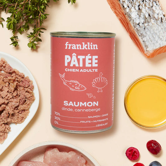 Pâté pour chien au saumon (Copie)