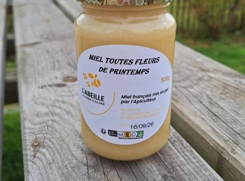 Miel de toutes fleurs de printemps - L'abeille de bonne fontaine (Copie)