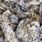 Huîtres creuses fermées, en vrac