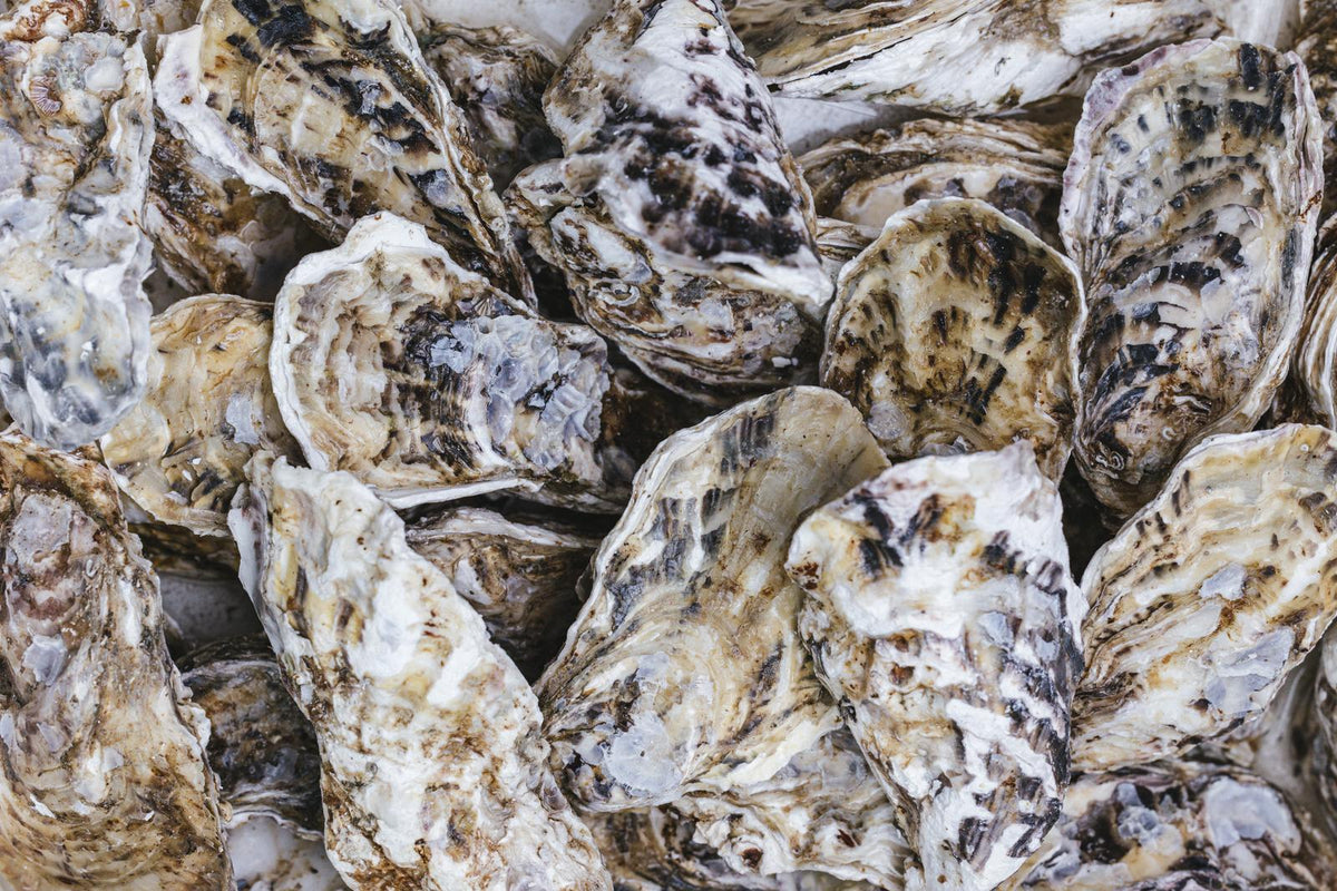 Huîtres creuses fermées, en vrac