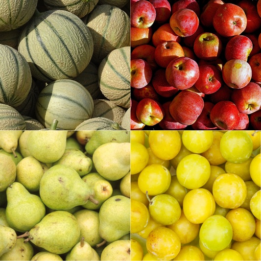 Panier de Fruits de saison